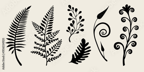 Elegant botanical silhouettes of various leaves and floral arrangements