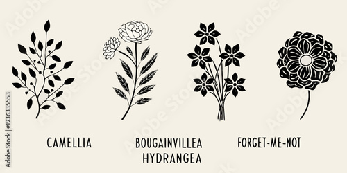 Botanical illustration of camellia bougainvillea hydrangea and forget me not