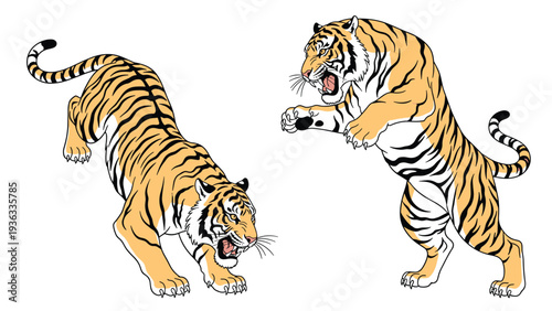 Traditional Japanese ink wash style illustration of two powerful and fierce tigers in dynamic fighting and crouching poses.