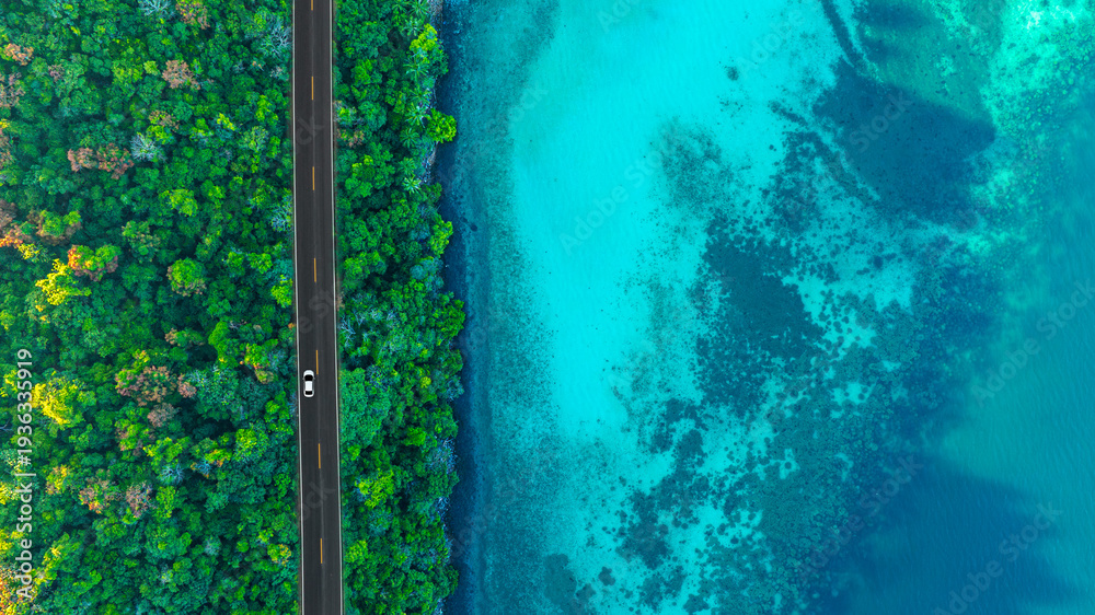 Naklejka premium Top view aerial shot of a white car driving on a coastal road between lush green forest and turquoise ocean water, concept of scenic nature landscape representing travel and exploration.