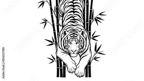 Striking black and white illustration of a powerful tiger emerging from a dense bamboo forest, staring intensely forward.