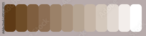 Brown and beige color palette with various shades and tones