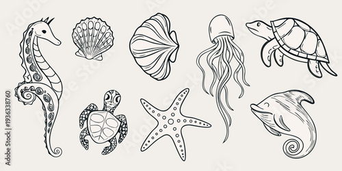 Hand drawn illustration of various marine life and seashells