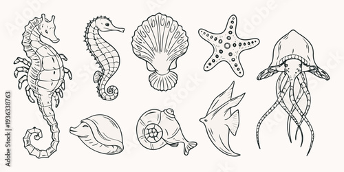 Line art illustration depicting various marine life and sea creatures