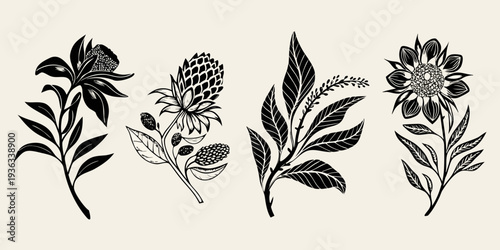 Botanical illustration of various flowers and foliage in black ink