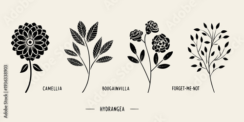 Botanical illustration featuring camellia bougainvillea hydrangea and forget me not