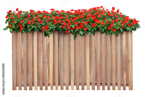 Schilderij op canvas Wooden planter box filled with busy lizzie flowers