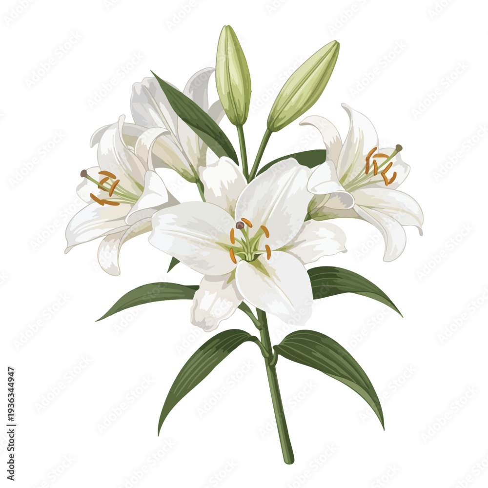 Obraz premium White Lilies with Green Leaves