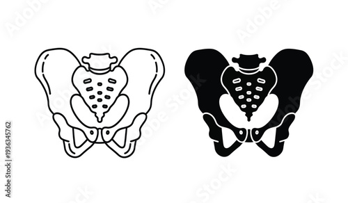 Detailed anatomical illustration of a human pelvis in black and white, showcasing the bone structure in two different styles