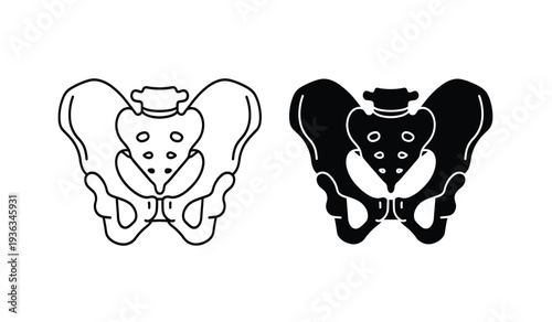 Vector illustration of human pelvis anatomy in black and white outline and silhouette