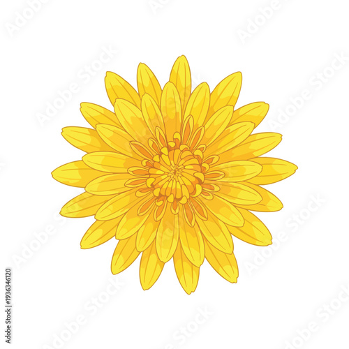 Bright Yellow Flower with Elegant Petals for Nature and Spring Themes