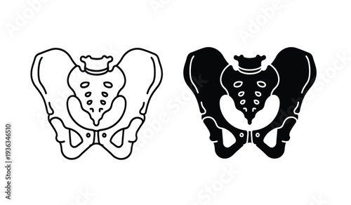 A pair of human pelvis illustrations in black and white line art