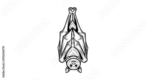 Hanging Bat Illustration - Black and White Sketch on White Background