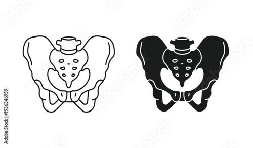 Vector illustration of a pelvis with a top hat in two styles, black and white, for medical or decorative use in various designs and projects