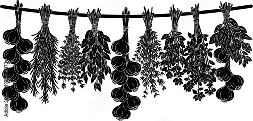 Culinary herbs and garlic bulbs hanging on a string profile