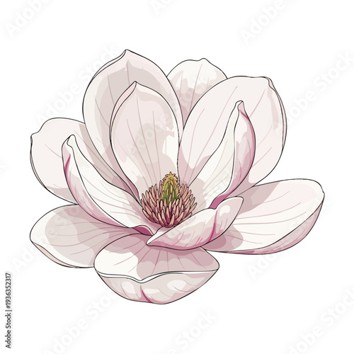 Elegant White Flower Illustration for Nature and Botanical Themes