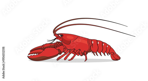 Red Lobster Illustration - Seafood Delicacy, Marine Life