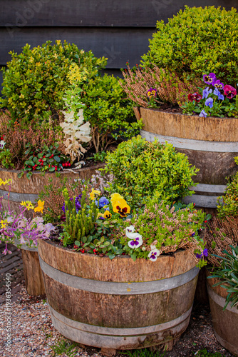 Colorful flowers blooming in rustic wooden planters nestled in a serene garden setting in springtime