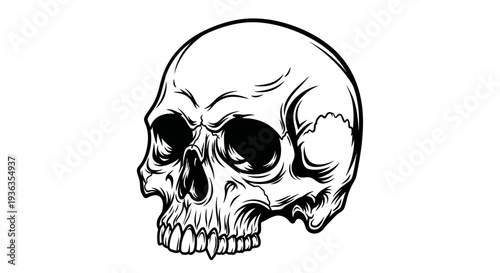 Spooky Human Skull Illustration - Dark Art & Horror Concept