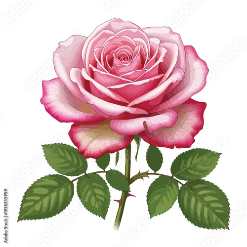 Beautiful Pink Rose with Green Leaves in Full Bloom