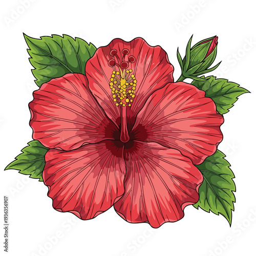 Colorful Hibiscus Flower with Green Leaves for Nature and Botanical Themes