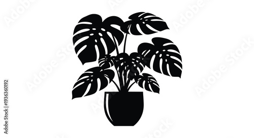 A striking black silhouette of a monstera plant in a pot showcasing tropical foliage silhouette high quality professional