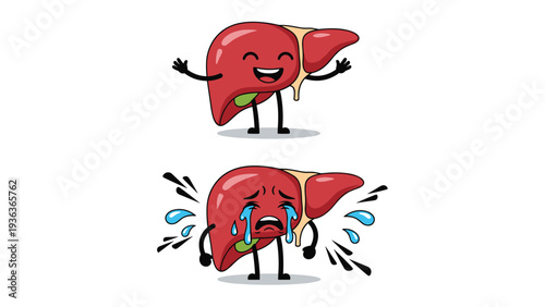 Two liver organ characters show a contrast between a happy healthy liver and a sick crying one with excessive fat to illustrate liver health and disease.