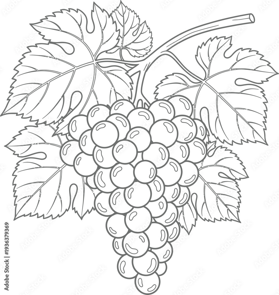 Fototapeta premium Adobe Illustrator Artwork