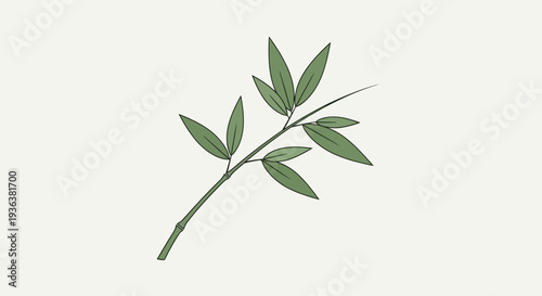 Bamboo Branch Illustration