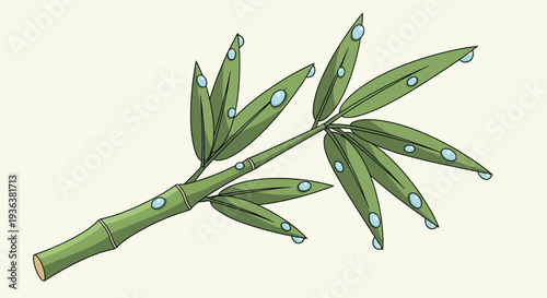 Bamboo Branch with Dew Drops
