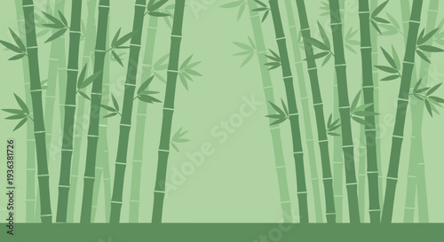 Bamboo Forest Background
