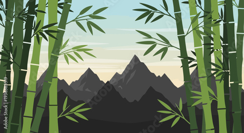Bamboo Forest Mountains Landscape