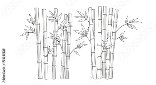Bamboo Forest Sketch