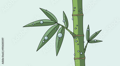 Bamboo plant with water drops