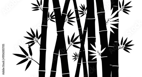 Black Bamboo Forest Silhouette