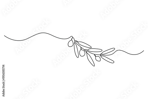 Olive branch continuous one line drawing minimalist botanical vector illustration
