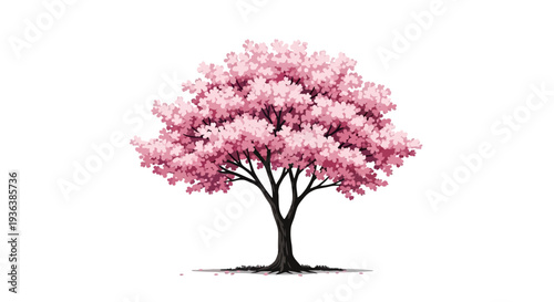 Blooming Cherry Blossom Tree