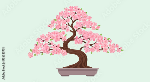 Blooming Cherry Blossom Bonsai Tree