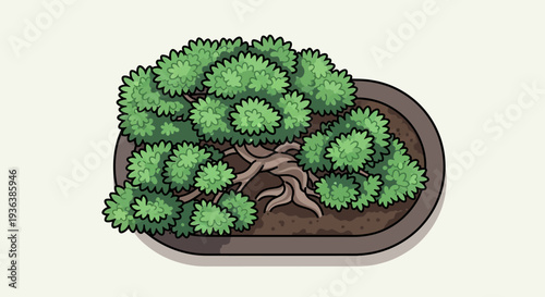 Bonsai Tree in Oval Pot, Top View