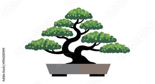 Bonsai Tree in Pot