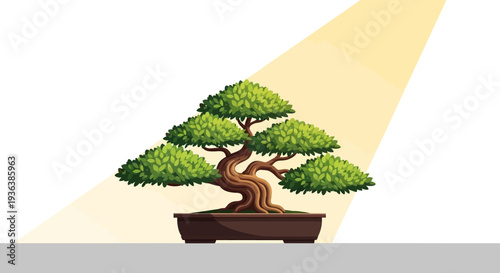 Bonsai Tree in Sunlight