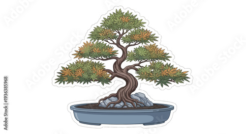 Bonsai Tree in Pot