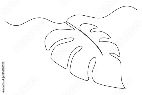 Monstera leaf continuous line drawing minimalist botanical vector illustration
