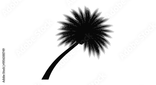 A striking black palm tree with feathery fronds dramatically curves against a pure white background silhouette high quality