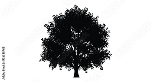 A detailed black silhouette of a full leafy tree against a stark white background silhouette high quality professional