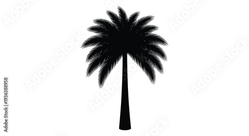 A striking black palm tree stands boldly against a white background a captivating silhouette high quality professional detailed