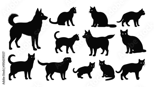 A group of dog and cat silhouettes on a white background