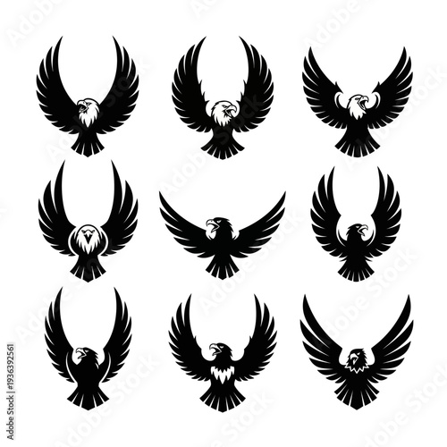 Modern raptor emblem design, flat black silhouette isolated on white background.