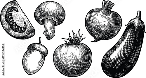 Collection of vintage vegetables and fungi engraved in black and white style