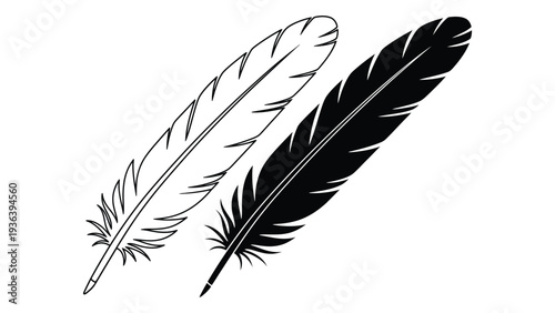 A black and white illustration of two feathers